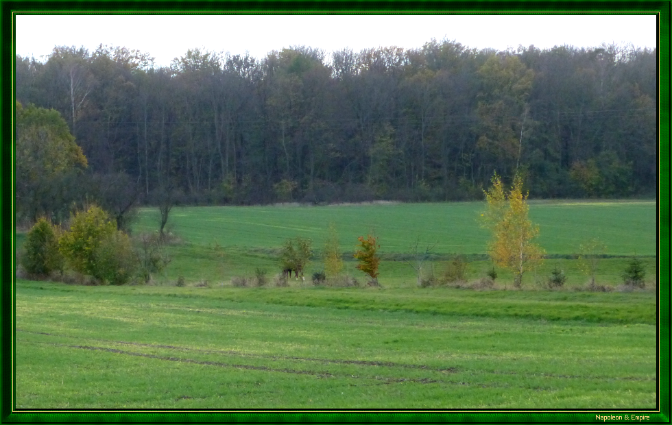 Battlefield near Altengönna