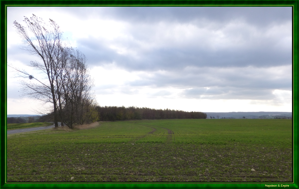 The Dornberg near Closewitz