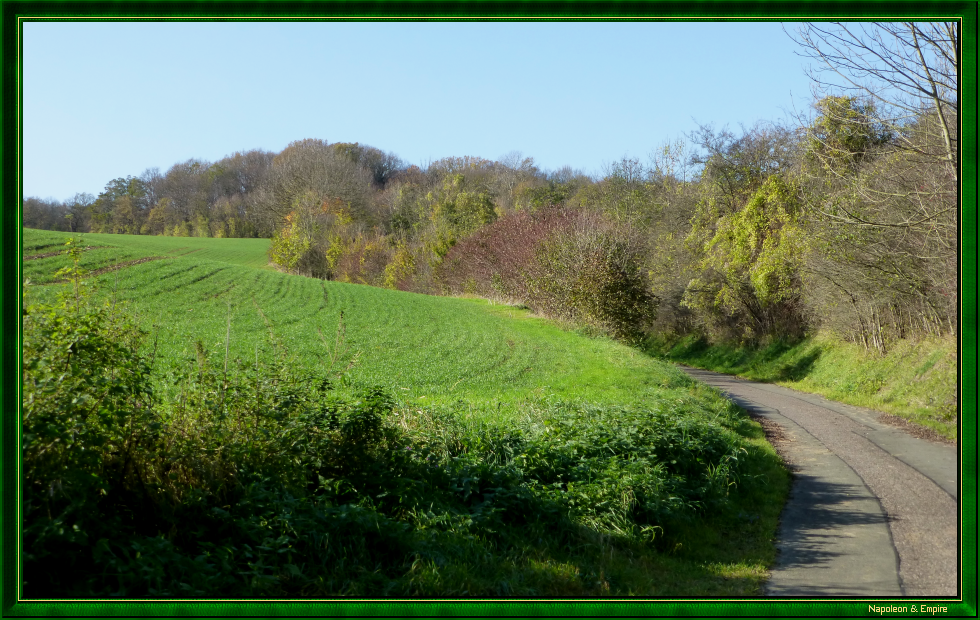Chemin menant à Cospeda
