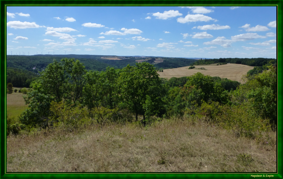 Une vue depuis la Napoleonstein à Cospeda