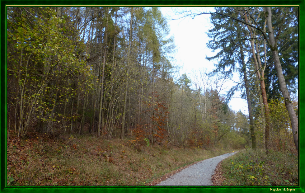 Path through the Isserstedt forest