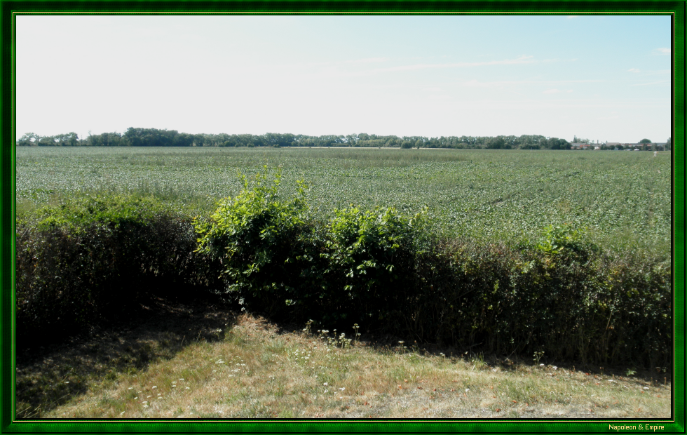The battlefield at Kleinschkorlopp