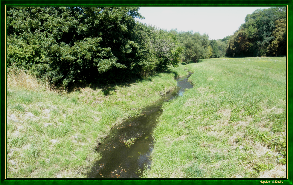 Le ruisseau Rippach