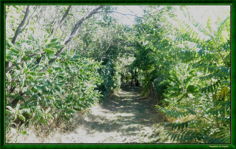 Road at Rippach