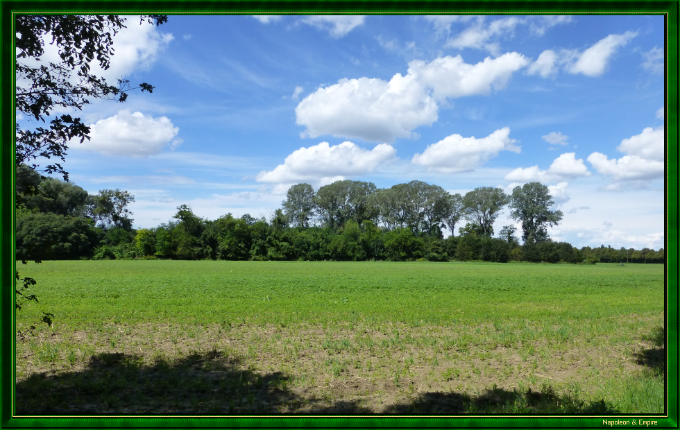 Nord de la Lobau (vue numéro 10)