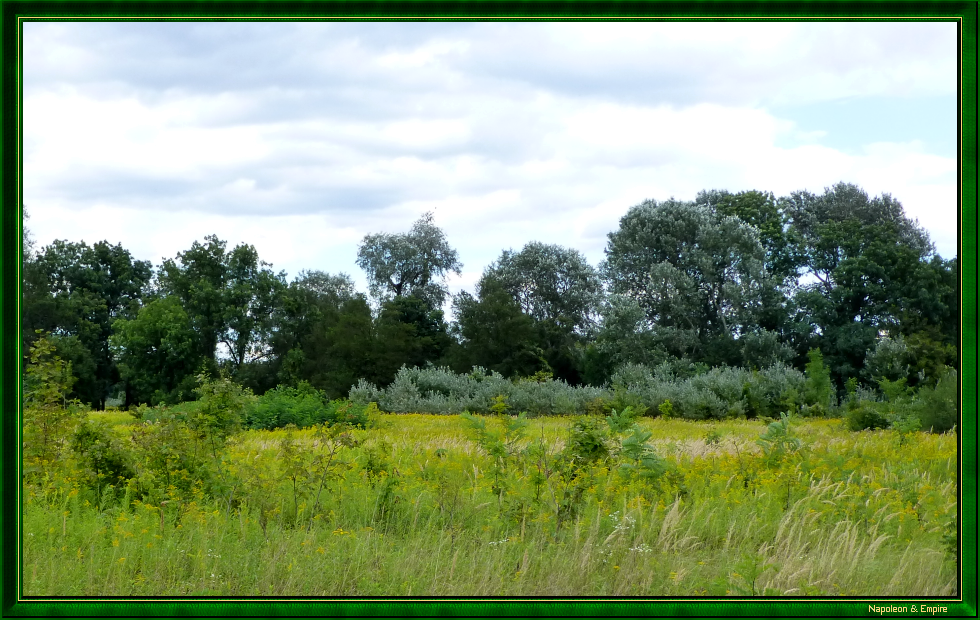 Lobau Island (view number 11)
