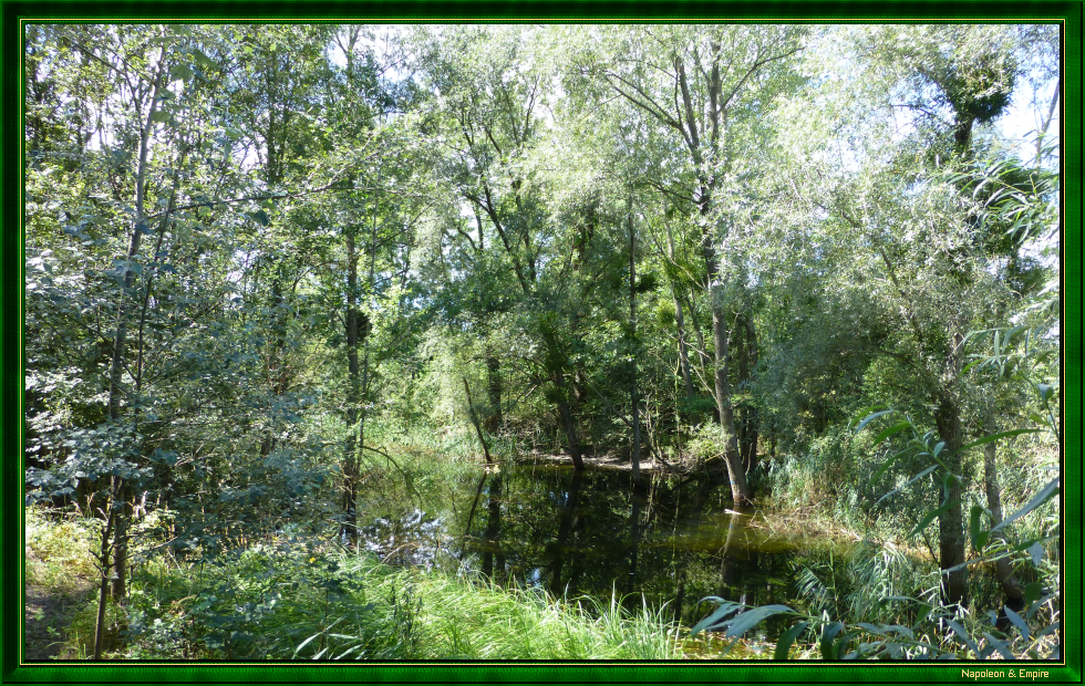 Ile de la Lobau (vue numéro 3)