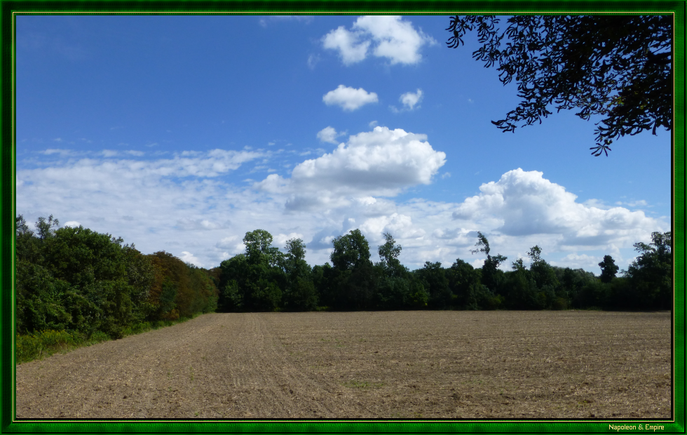 Ile de la Lobau (vue numéro 7)