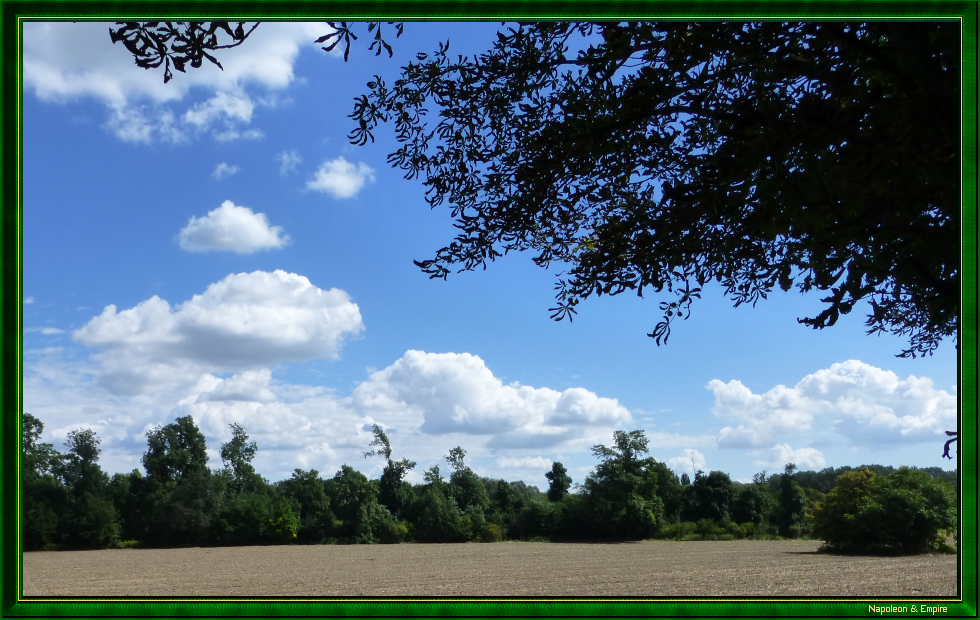 Ile de la Lobau (vue numéro 8)