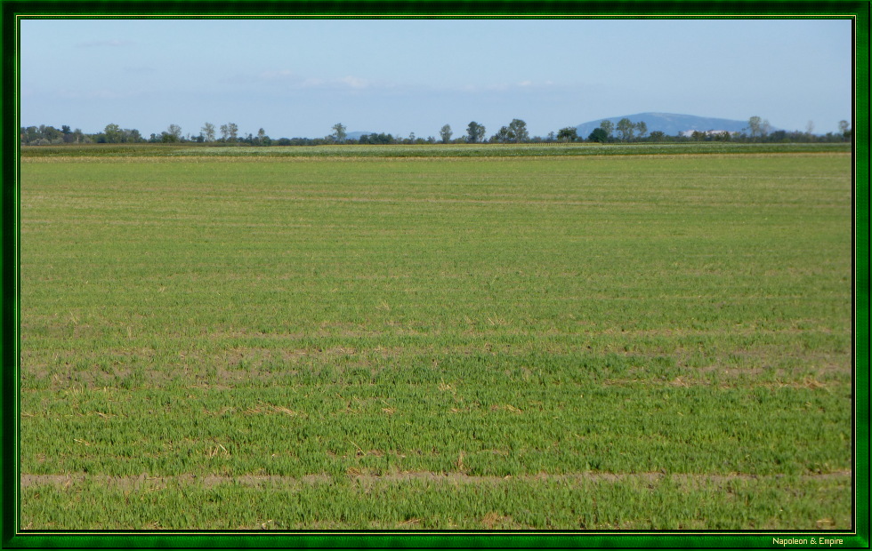 Plaine de Marchfeld
