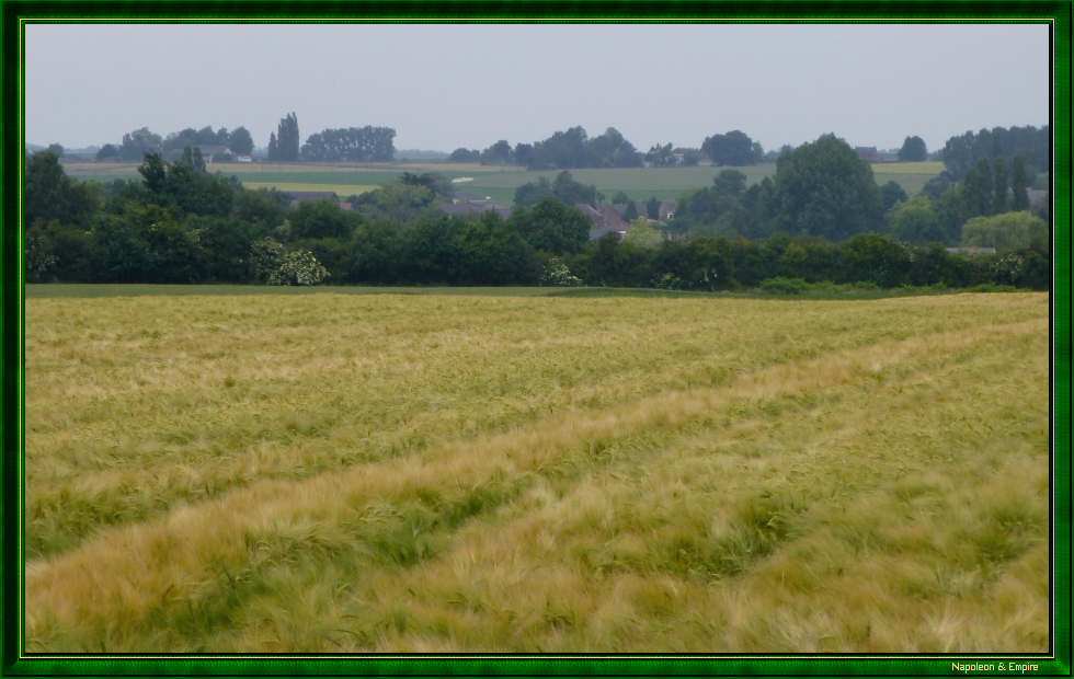 Champ de bataille de Ligny depuis le corps de Gérard (vue numéro 4)