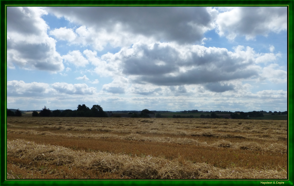 Champ près de la Ferme de la Haie-Sainte