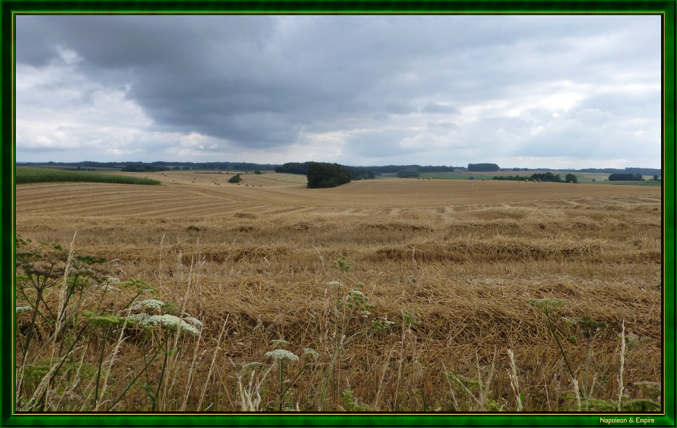 Champ au nord de Plancenoit