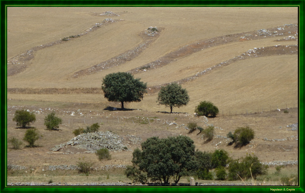 Champ de bataille près des Arapiles