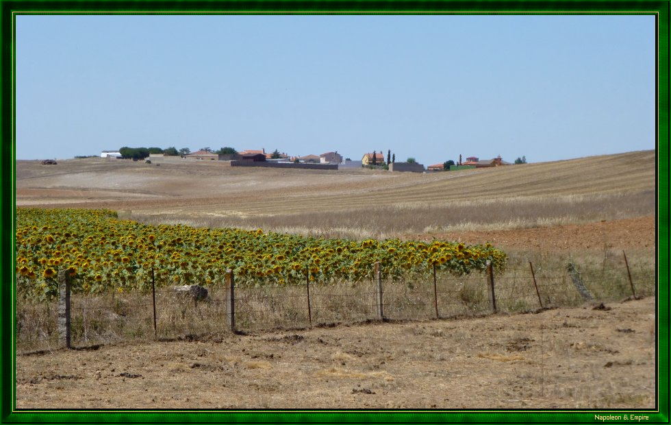 Les Arapiles