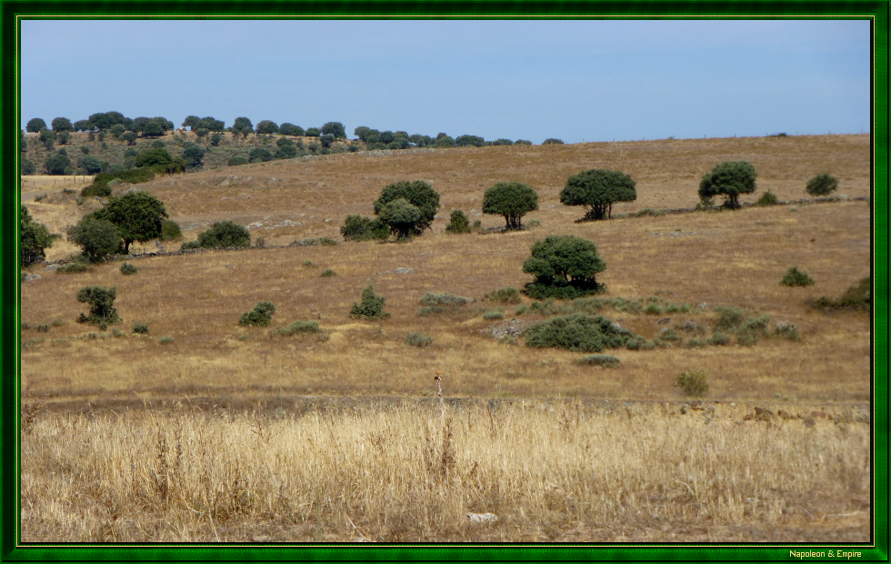 El Bodón: the battlefield, view 2