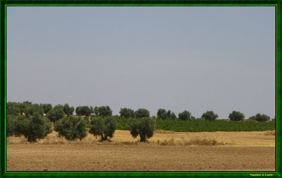 Between Dos Barrios and La Guardia, view 1