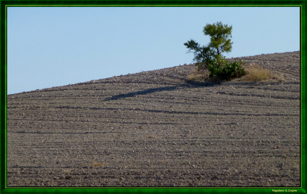 Champ de bataille près d'Ontigola, vue 3