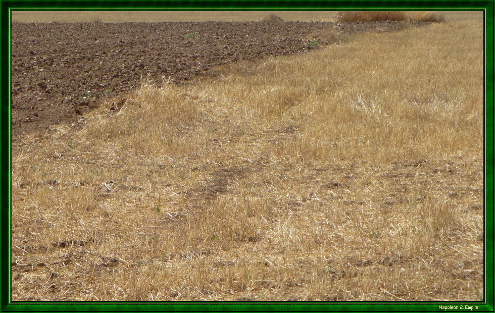The battlefield on the road to Noblejas, view 1