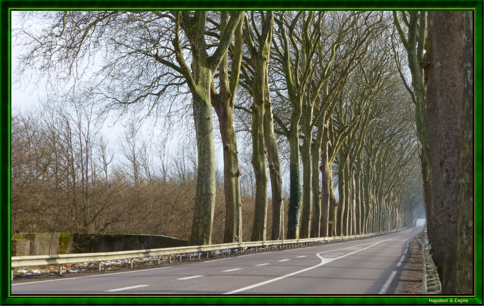 La route de Dijon près d'Auxonne
