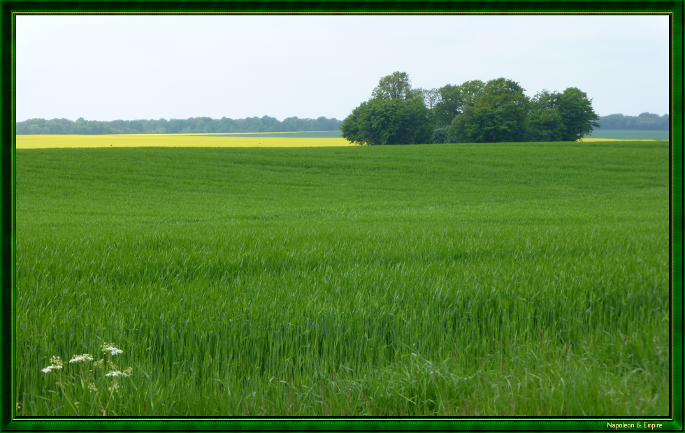 Champ de bataille entre Champaubert et Baye