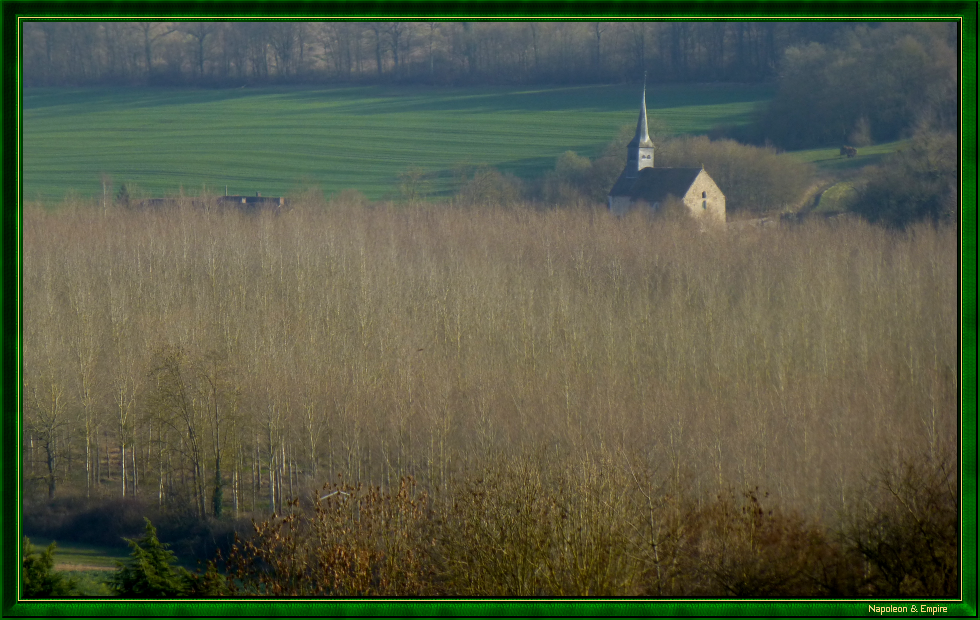 Baye wood