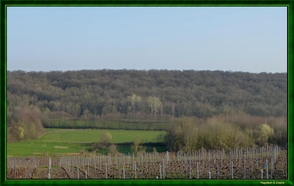 Malet wood