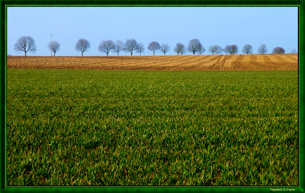 Champ de bataille près de La Caure (vue numéro 1)