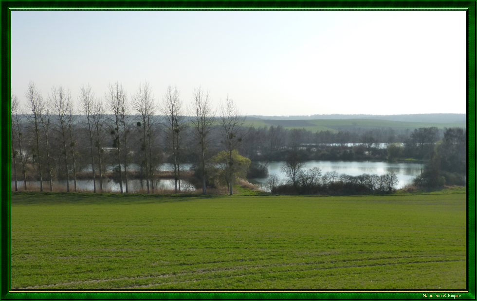 Marais de Saint-Gond (vue numéro 1)
