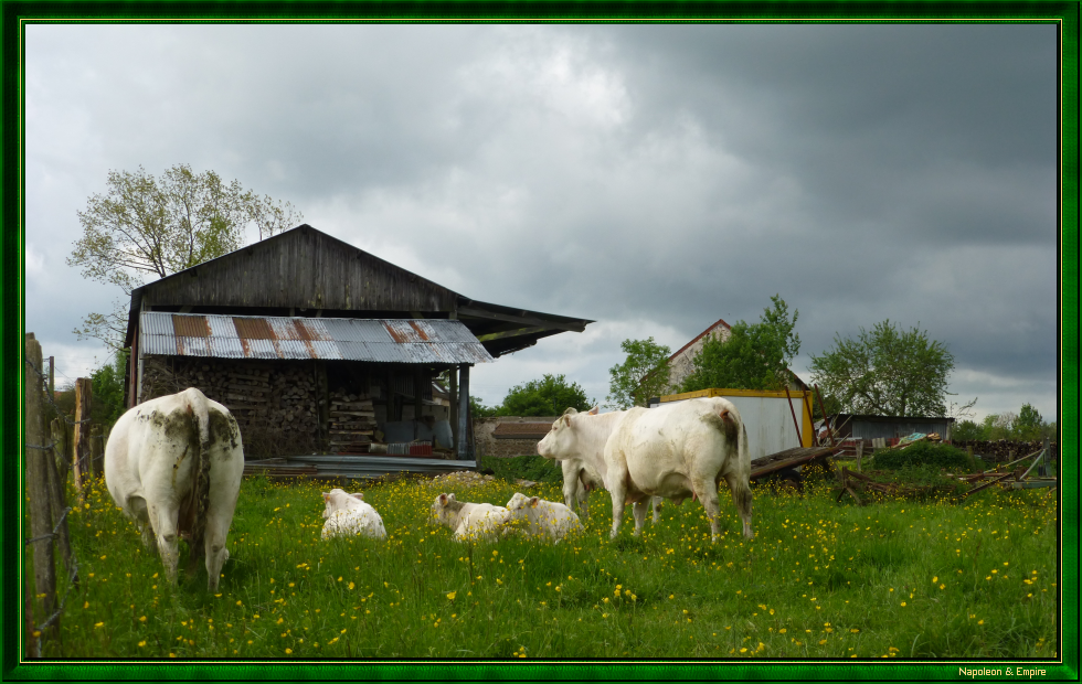 Ferme du Petit-Ballois (vue numéro 1)