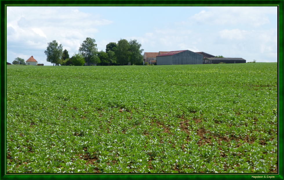 Trinité farm