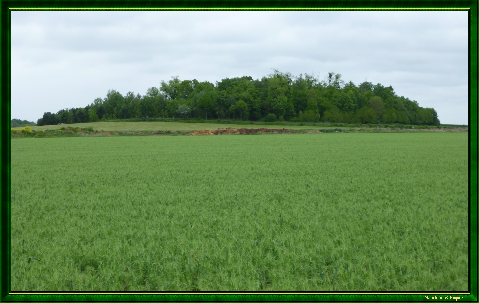 Butte aux Vignes