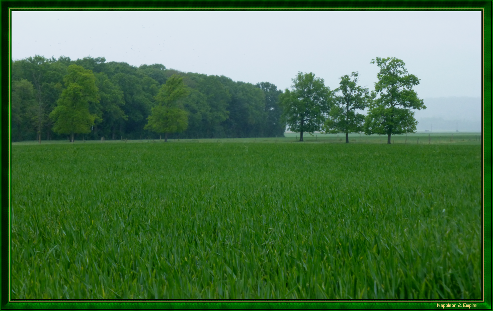 La Mouillee farm