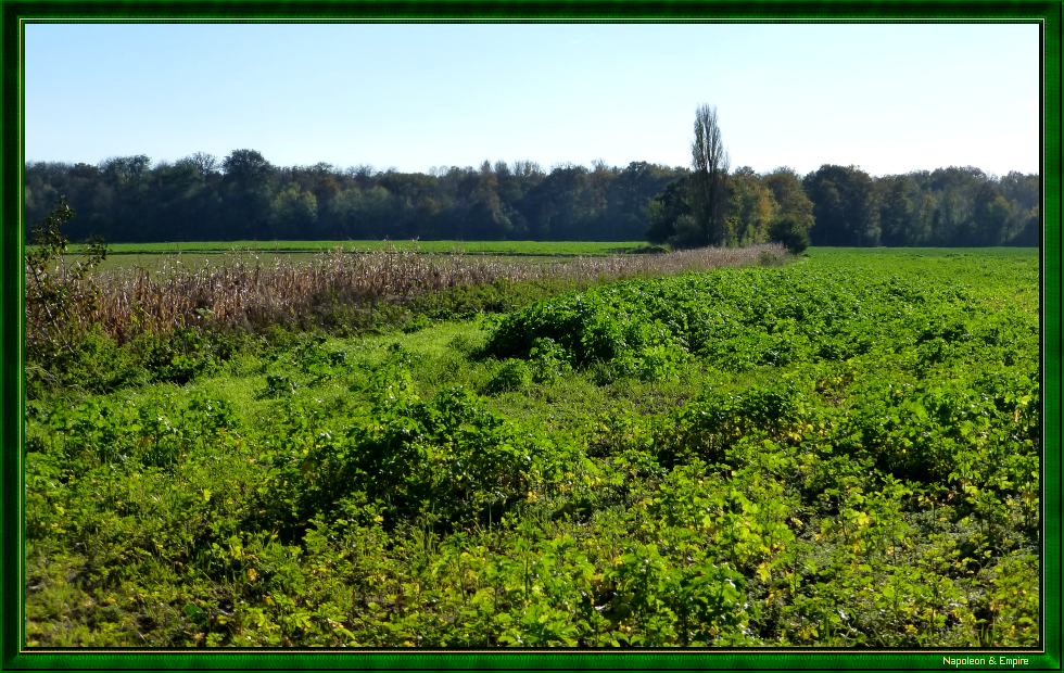 Surroundings of Grandpuits