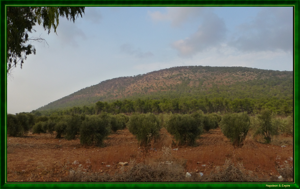 Le Mont Thabor, vue 2