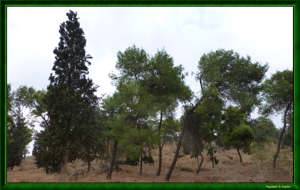 Hauteurs de Safoureh, vue 5