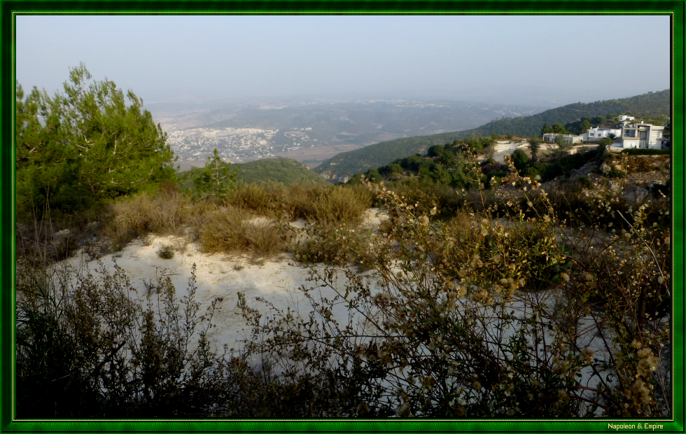 On Mount Carmel