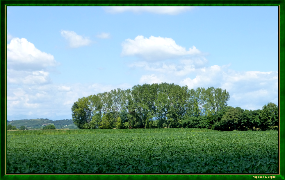 Champ de bataille près du Monte Medolano