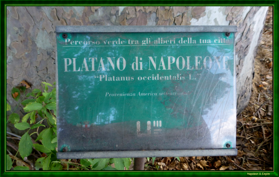 Plaque on Napoleon