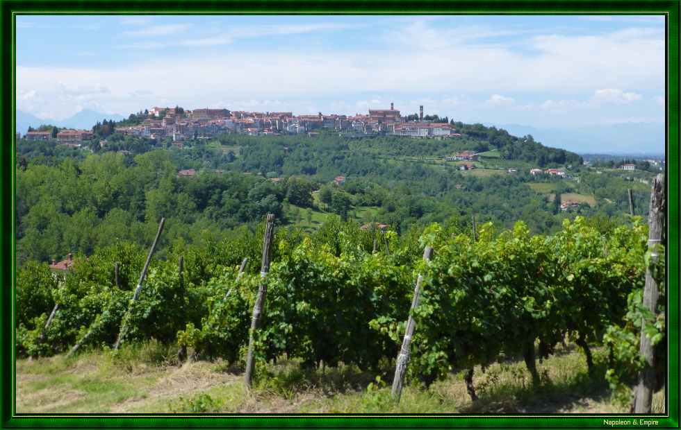 Vue de Mondovì depuis le vignoble environnant