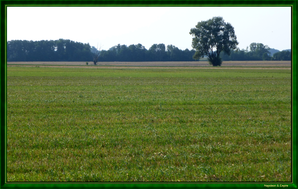 Champ de bataille à Garnowo