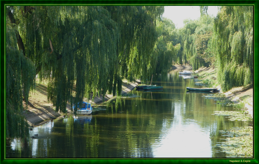 Bras de la rivière Narew à Pultusk