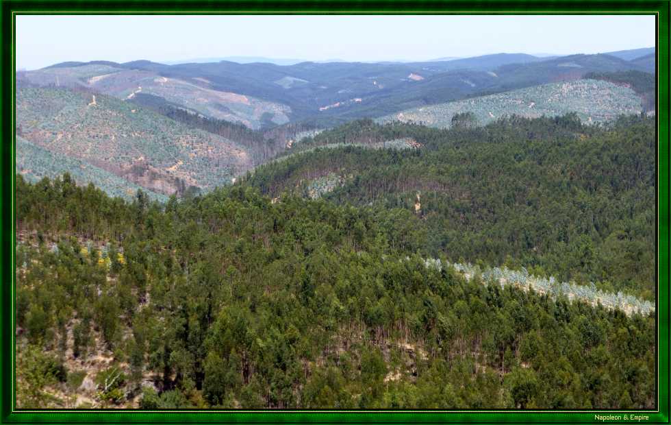 Panorama from the Moura mill, view 2
