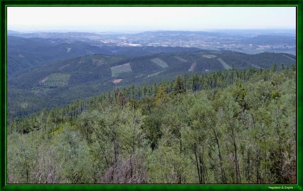 Buçaco: panorama from Wellington HQ, view 6