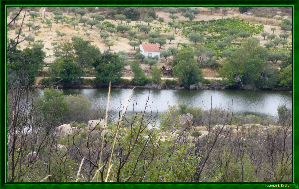 Les rives de la Côa