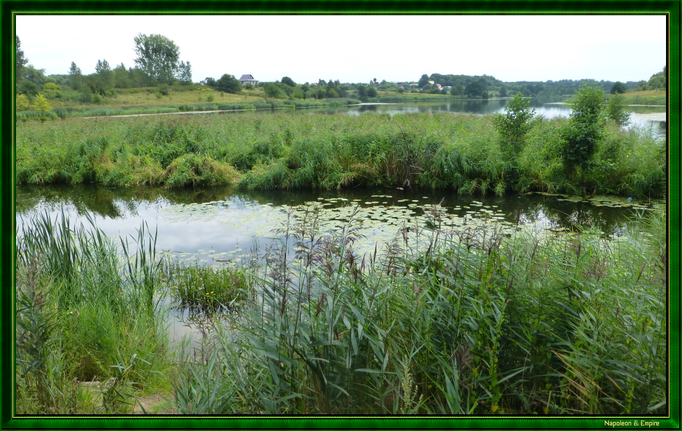 Pond in Eylau (view number 3)