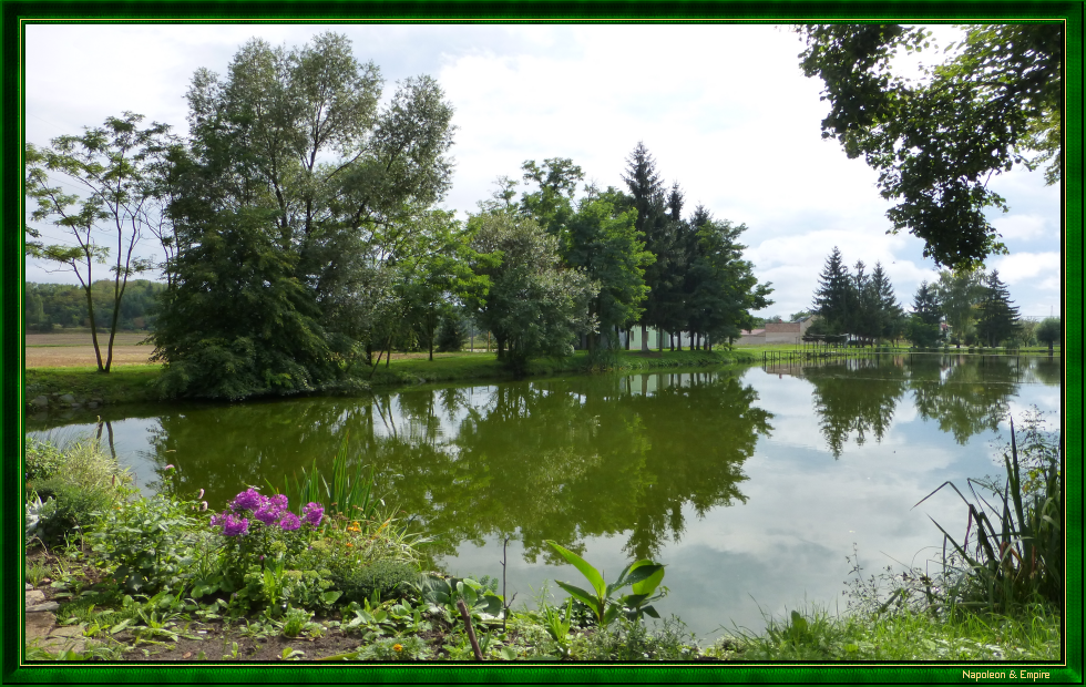 Swamps near Birnbaum