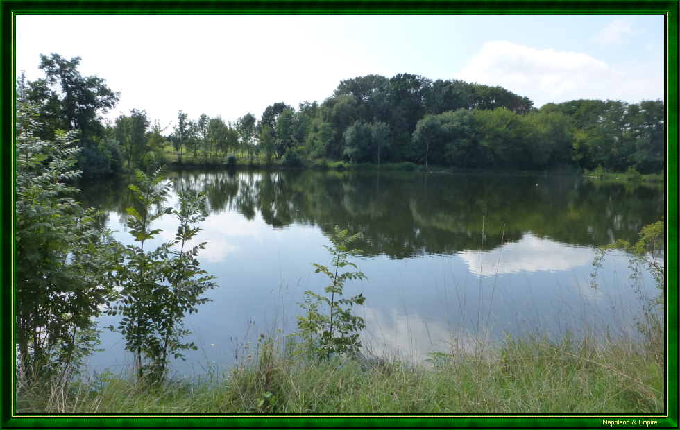 Etang entre Telnitz et Menitz (vue numéro 1)
