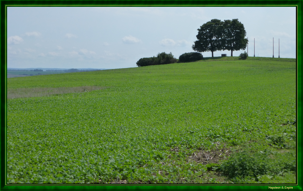The Zuran mound (view number 1)