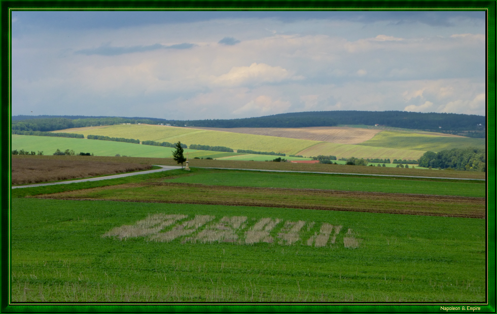 Panorama from Zuran Mound (view number 4)